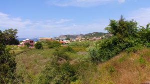 Arillas