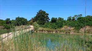 Lagoon Antinioti