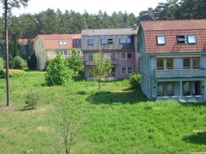 Borwalde    