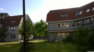 Borkwalde    