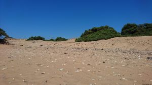 Agios Georgios Issos Beach