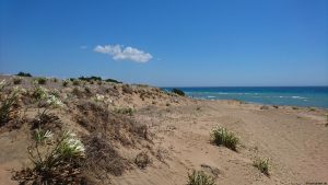 Agios Georgios Issos Beach