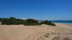 Agios Georgios Issos Beach