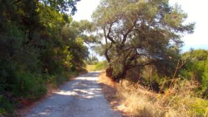 Agios Georgios Pagon - Donkey Path to Makrades